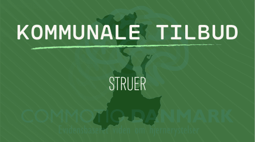 STRUER Tilbud til hjernerystelsesramte i Struer Kommune